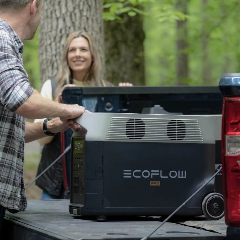 EcoFlow Delta Pro Portable Power Station Action View